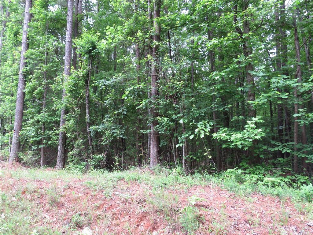 Doke Cohran Rd., Dallas, GA 30157