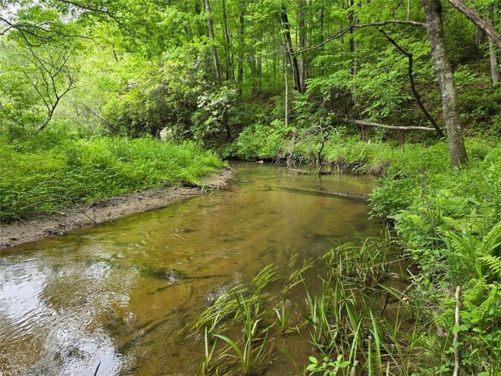 409 Harrison Sluder Rd., Ellijay, GA 30540