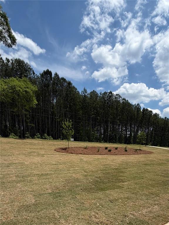 1719 Cornish Mountain Ch Rd., Oxford, GA 30054