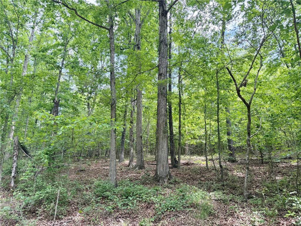 377 W Oak Grove Rd., Adairsville, GA 30103