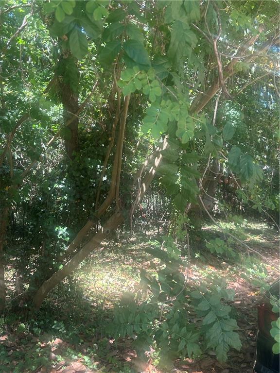 Magnolia, Mcintyre, GA 31054