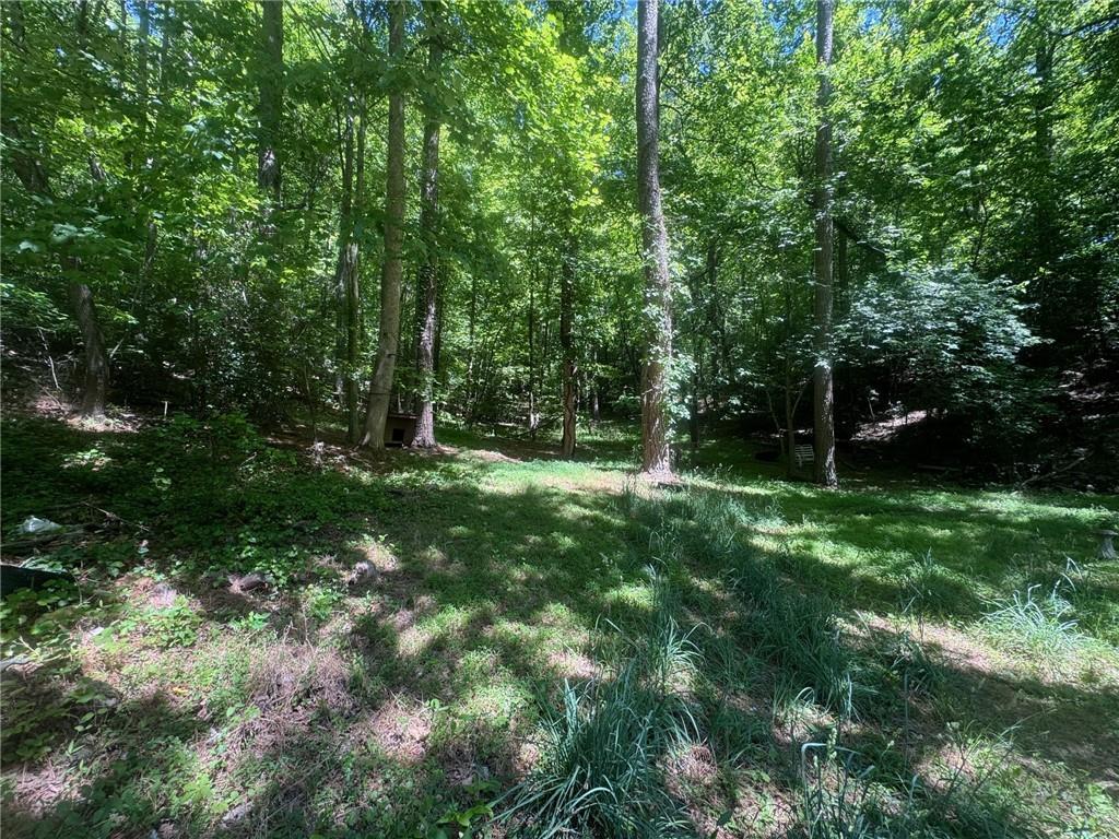 Bible Baptist Rd., Ellijay, GA 30536