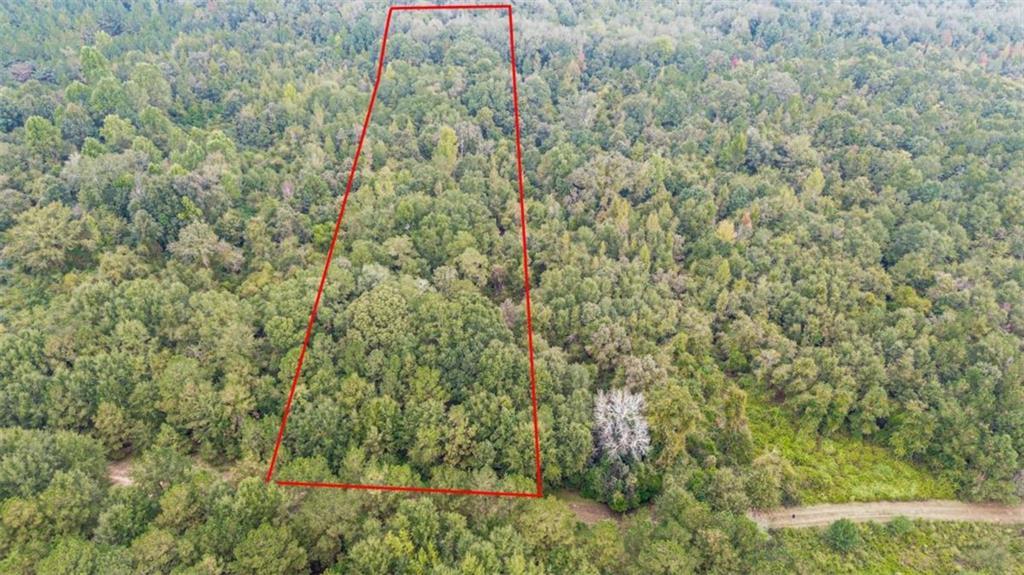 Willow Creek Dr., Oglethorpe, GA 31068