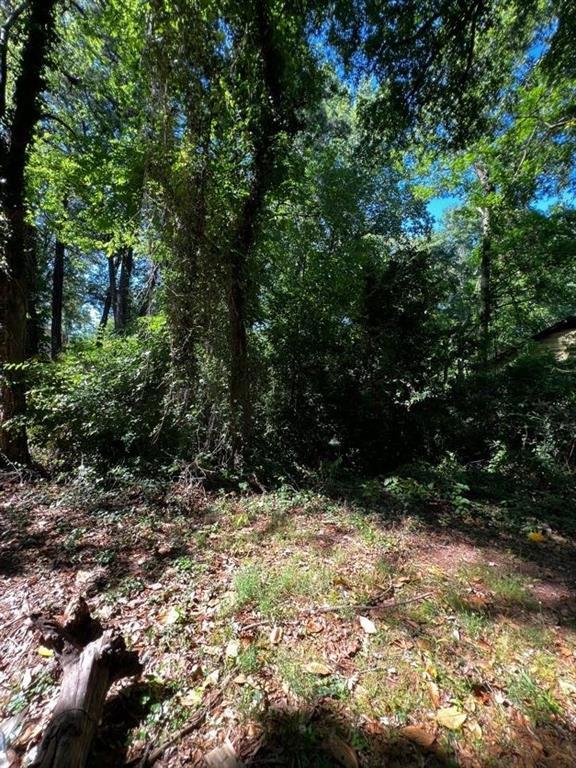 Dalton St., Atlanta, GA 30315