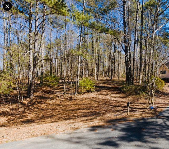 110 Bunnie Tr., Ellenwood, GA 30294