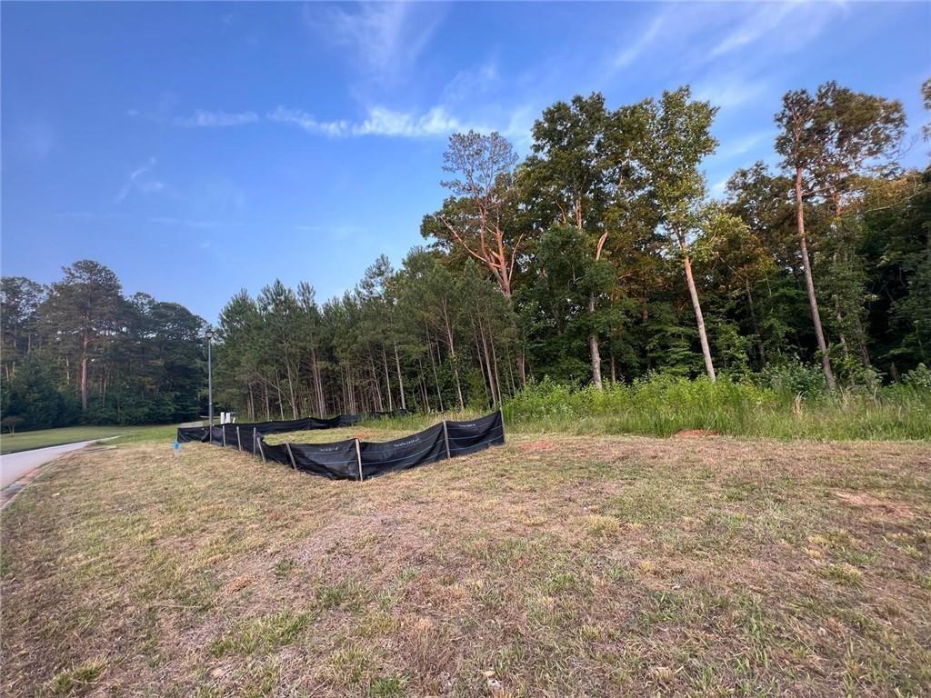 2524 Stream View Dr., Conyers, GA 30013