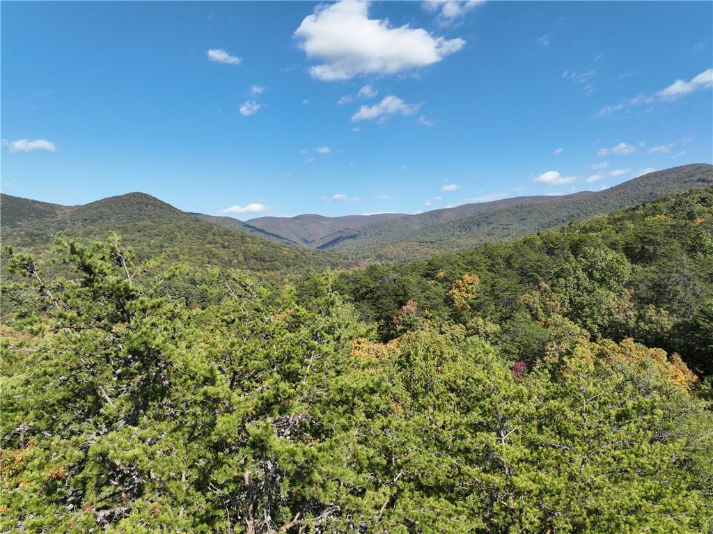 3A Turniptown Rd., Ellijay, GA 30536