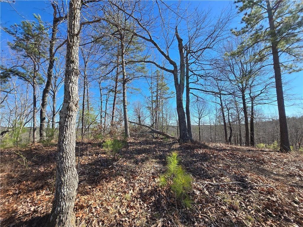 Brushy Mountain Rd., Rockmart, GA 30153