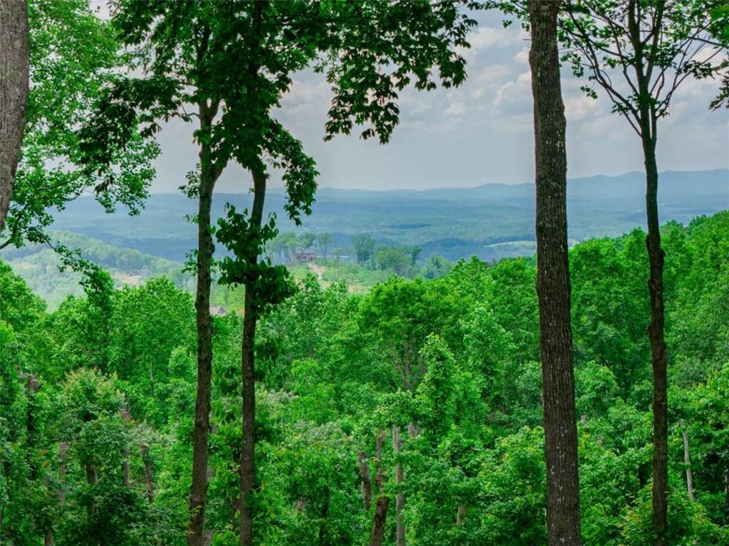 LT 411 Calloway Mountain Rd., Talking Rock, GA 30175