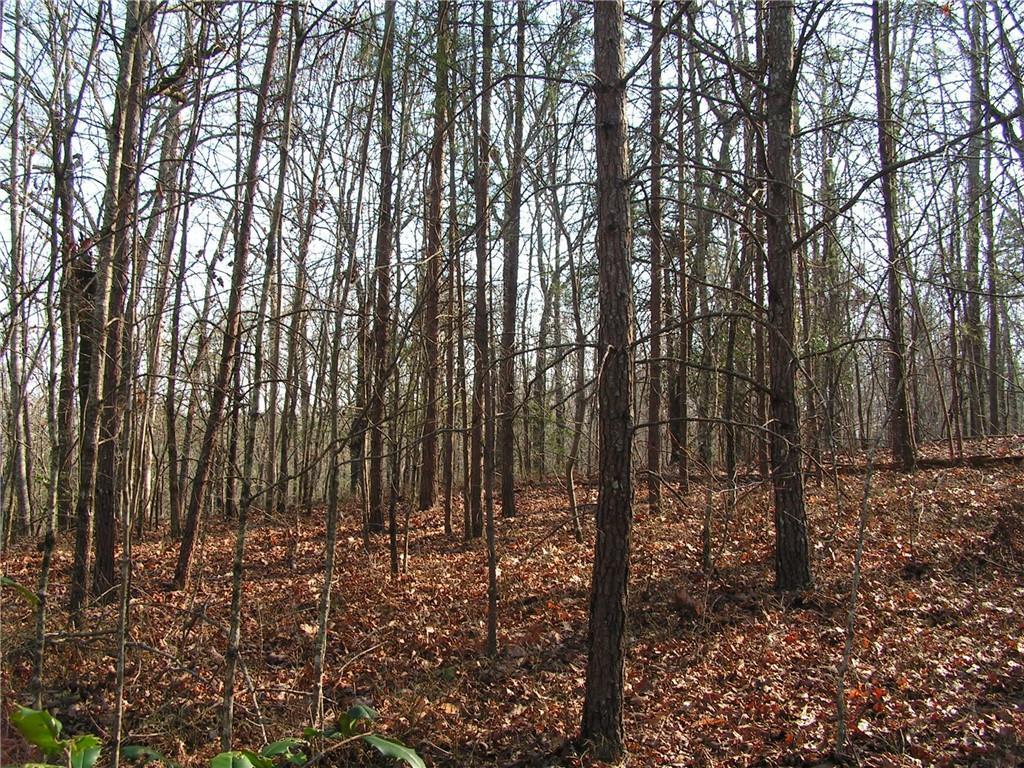 Mount Pleasant Church Rd., Cleveland, GA 30528