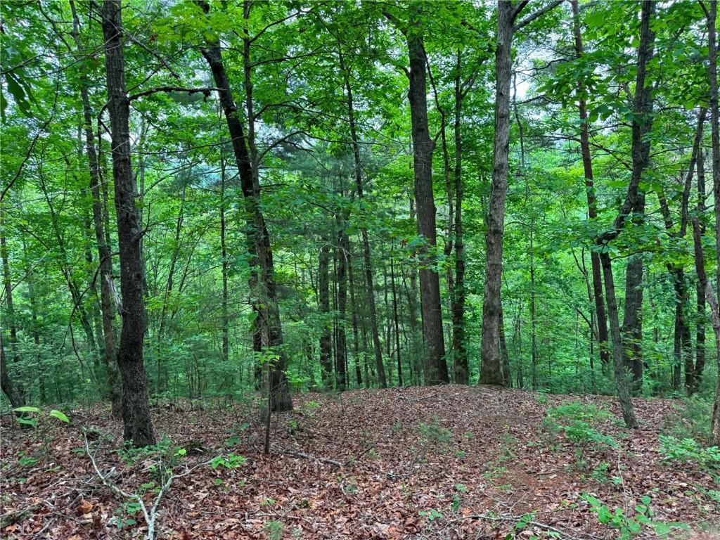 1674A Hunter Dr., Ranger, GA 30734