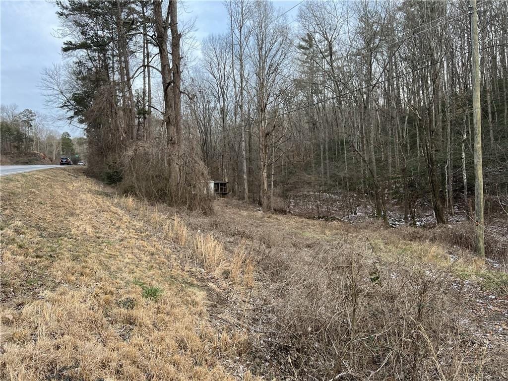 6118 S Chestatee St., Dahlonega, GA 30533