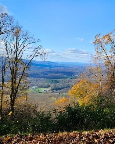 5 Rocky Knob, Young Harris, GA 30582