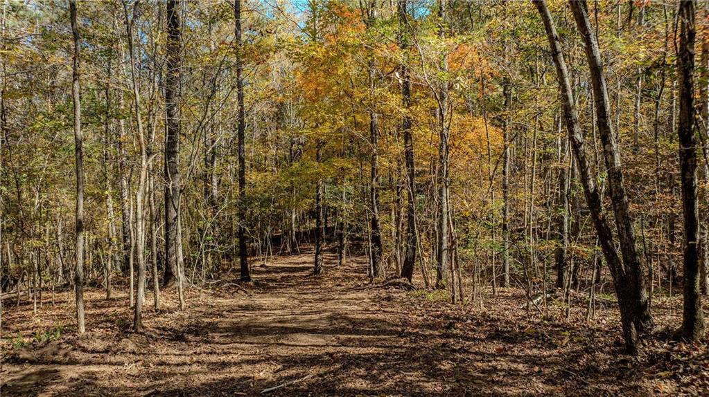 Jones Ferry Rd., Chattahoochee Hills, GA 30268