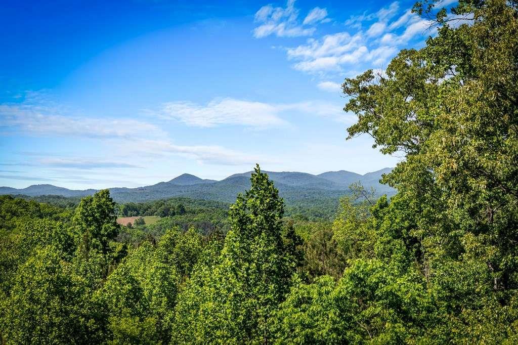 479 Big Timber Rd., Mineral Bluff, GA 30559