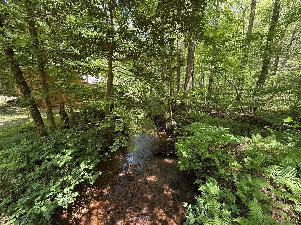 1199 Mountain Cove Rd., Dahlonega, GA 30533