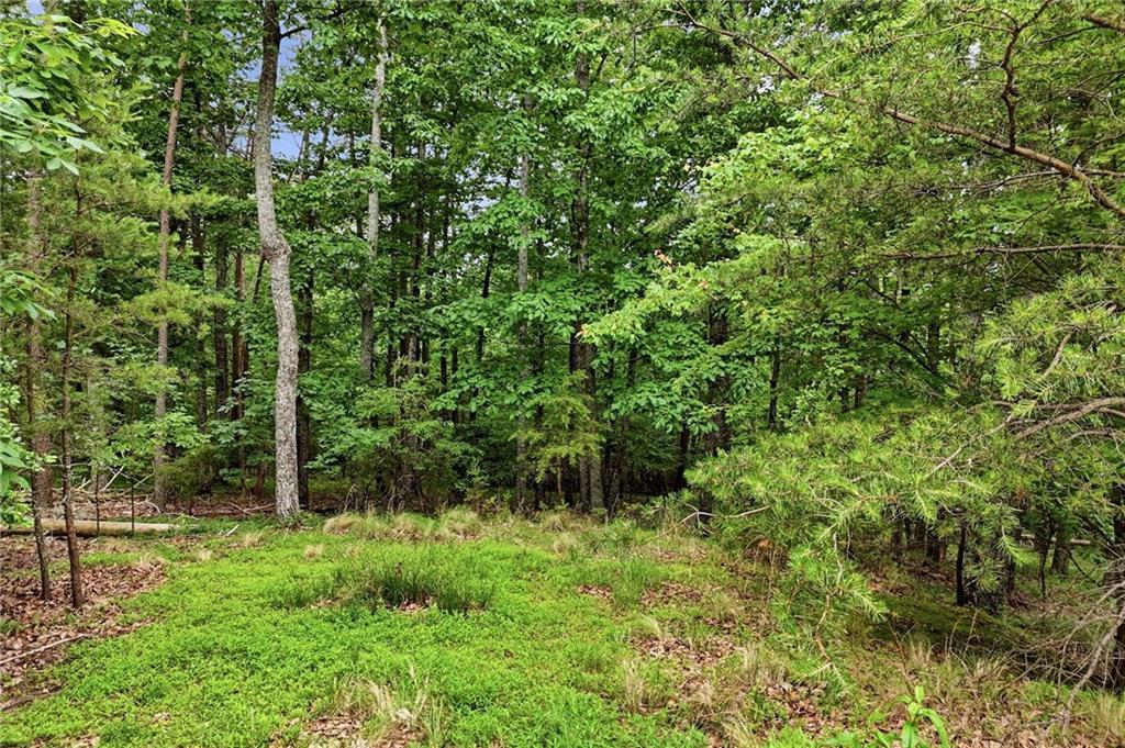 Owl Ridge Way, Jasper, GA 30143