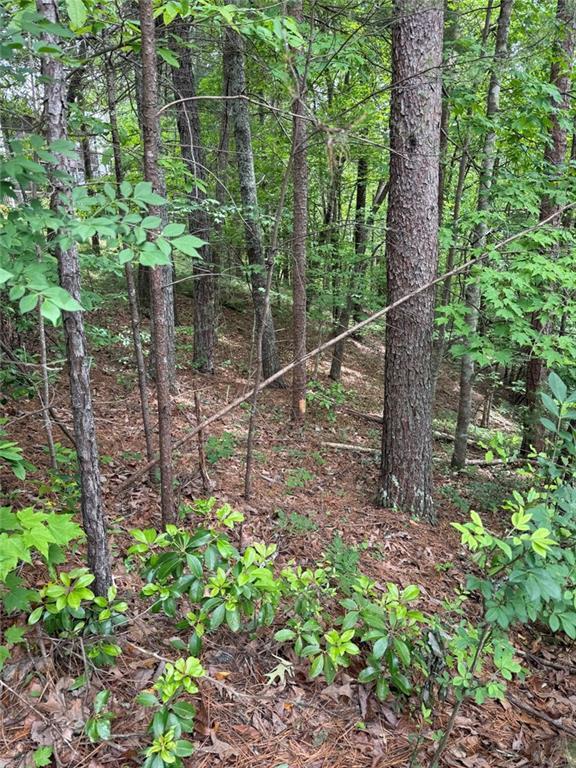 Hinterstraten Weg, Helen, GA 30545