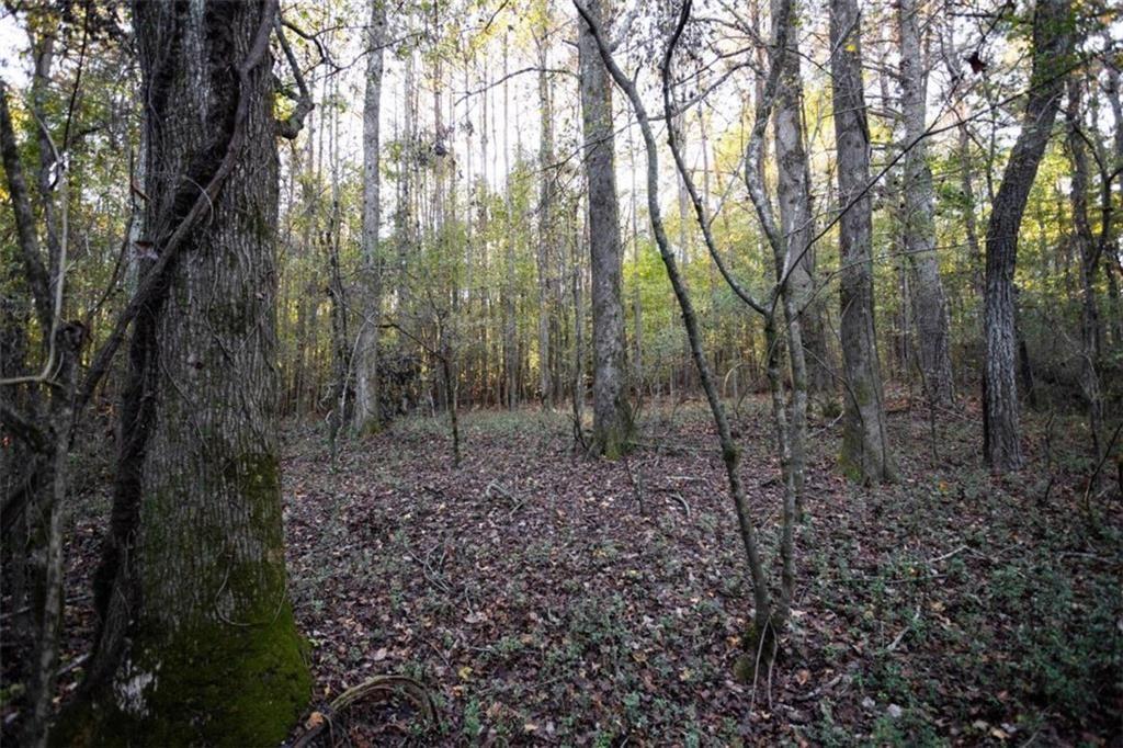 00 Thurman Baccus Rd., Social Circle, GA 30025