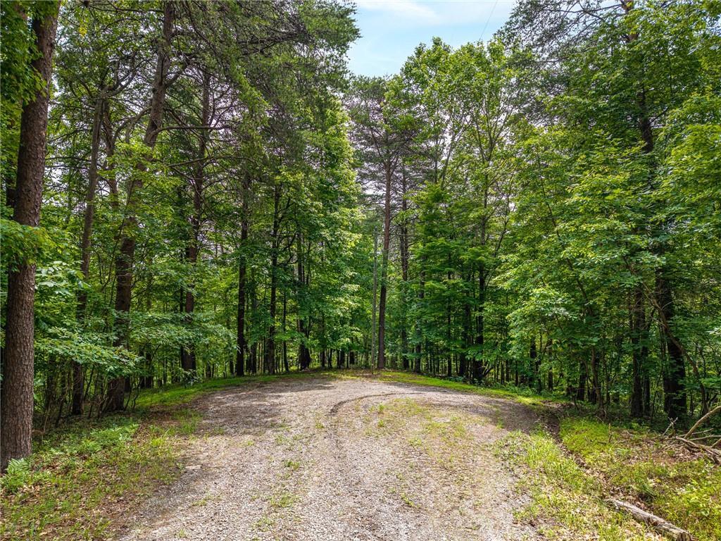 1331 Birch Ln., Ranger, GA 30734