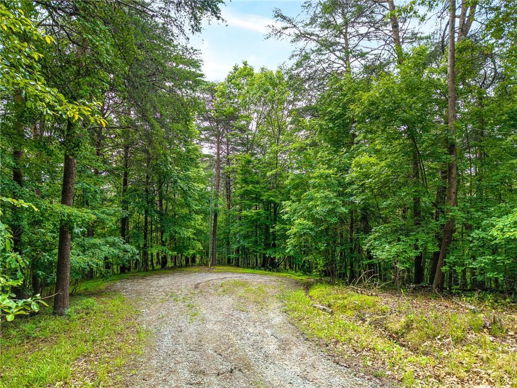 1332 Birch Ln., Ranger, GA 30734