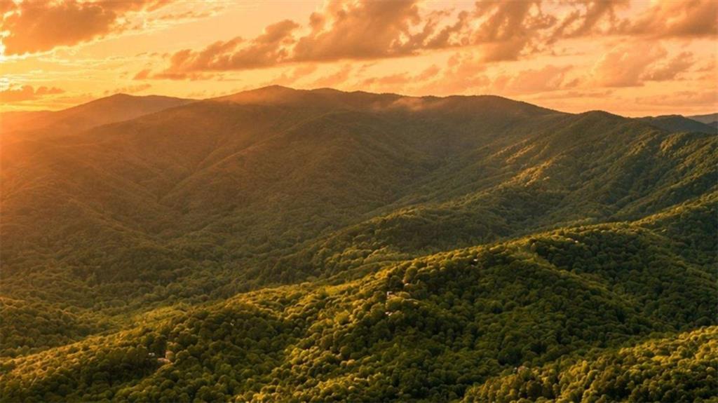 5.58 Gobbler Knob Dr., Ellijay, GA 30540
