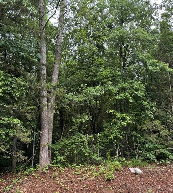 Lewis Dr., Lavonia, GA 30553