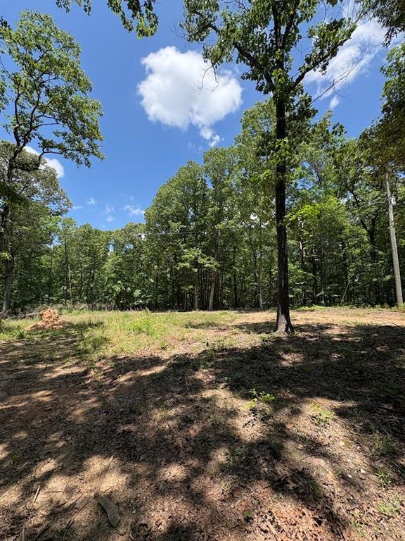 4492 U.s. 78, Tallapoosa, GA 30176