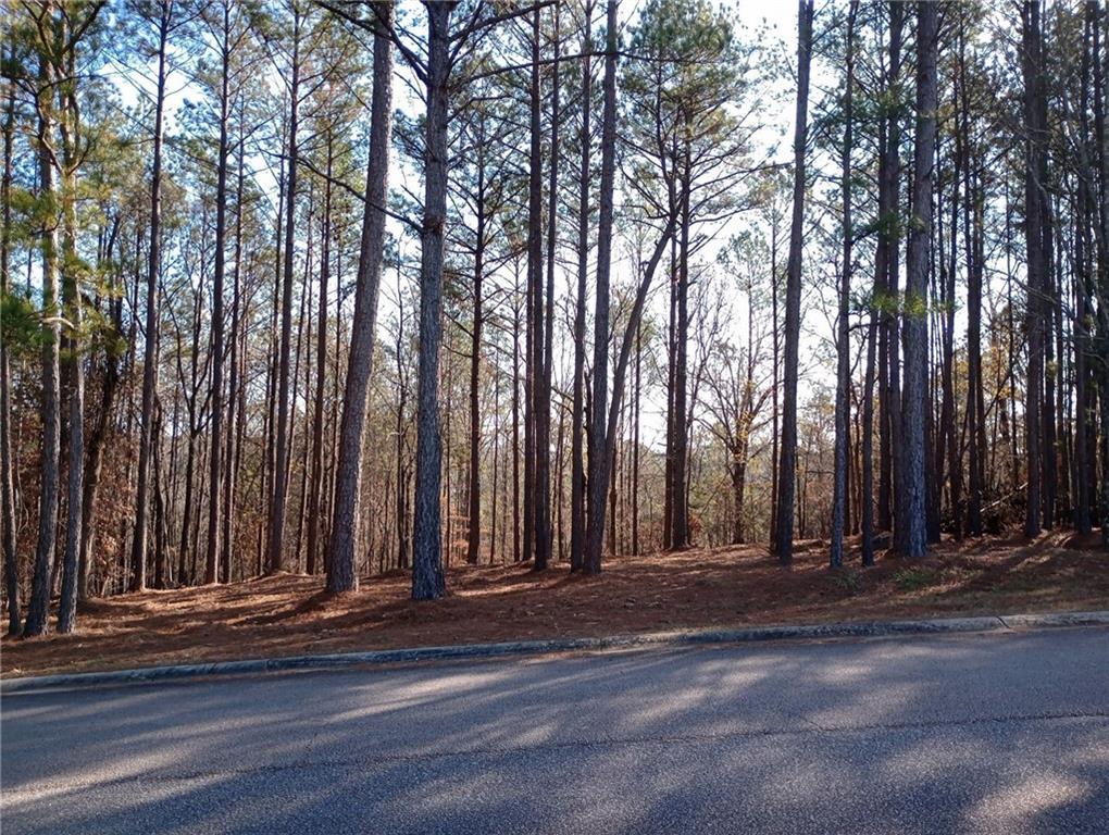 00 Tuscan Hills Rd., Franklin, GA 30127