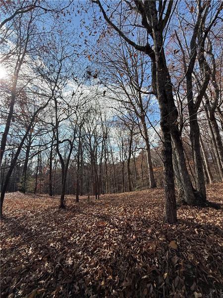 Orchard Rd., Jasper, GA 30143