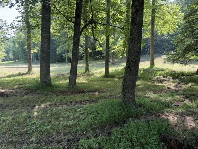 Lot 6 Clear Creek Preserve Way, Ellijay, GA 30536
