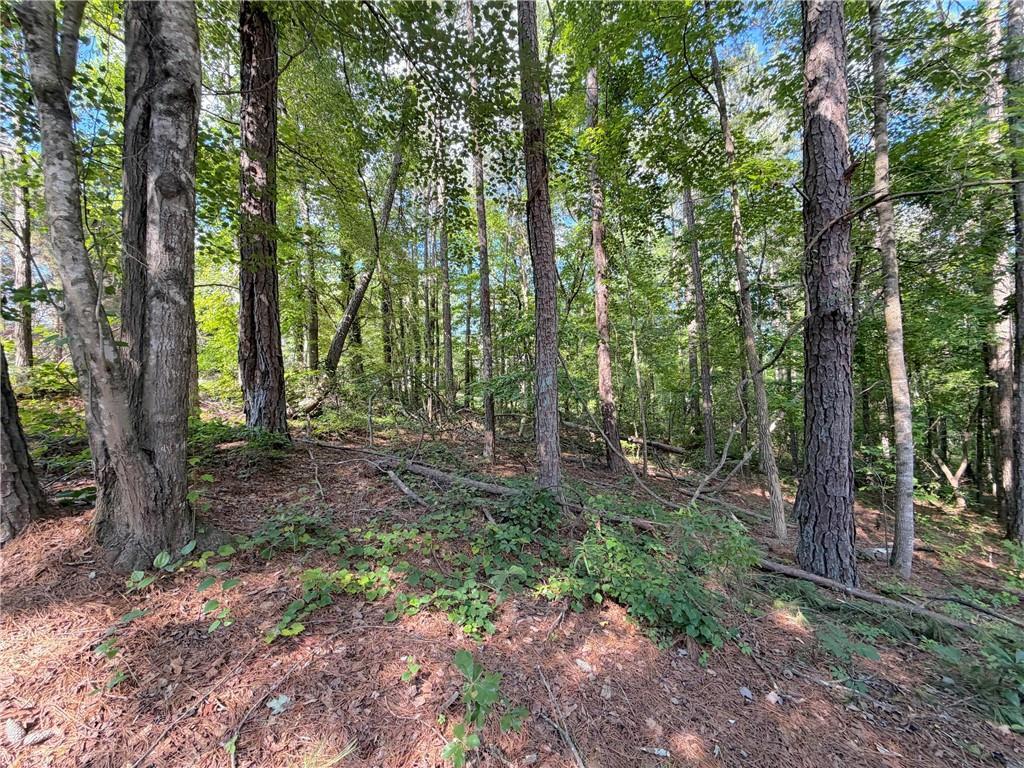 1306 Southgate Dr., Villa Rica, GA 30180