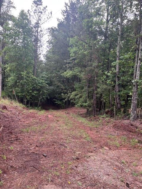 00 Dobbs Mountain Rd., Winston, GA 30187