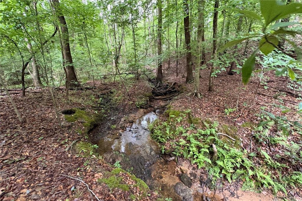 Lanette Cir., Barnesville, GA 30204