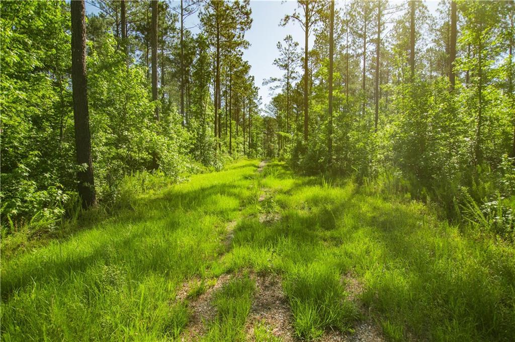 Weaver Jones Rd., Rutledge, GA 30663