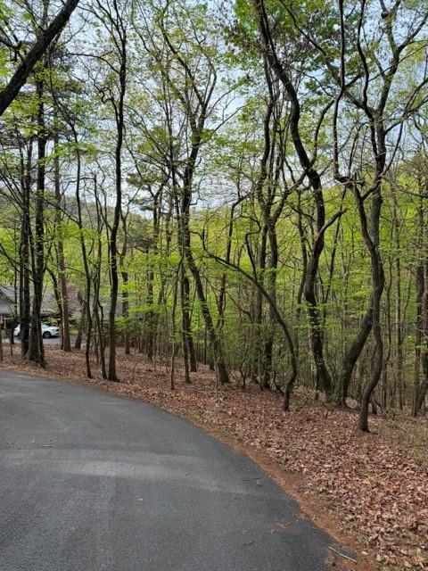 226 Crested Fern Ln., Big Canoe, GA 30143