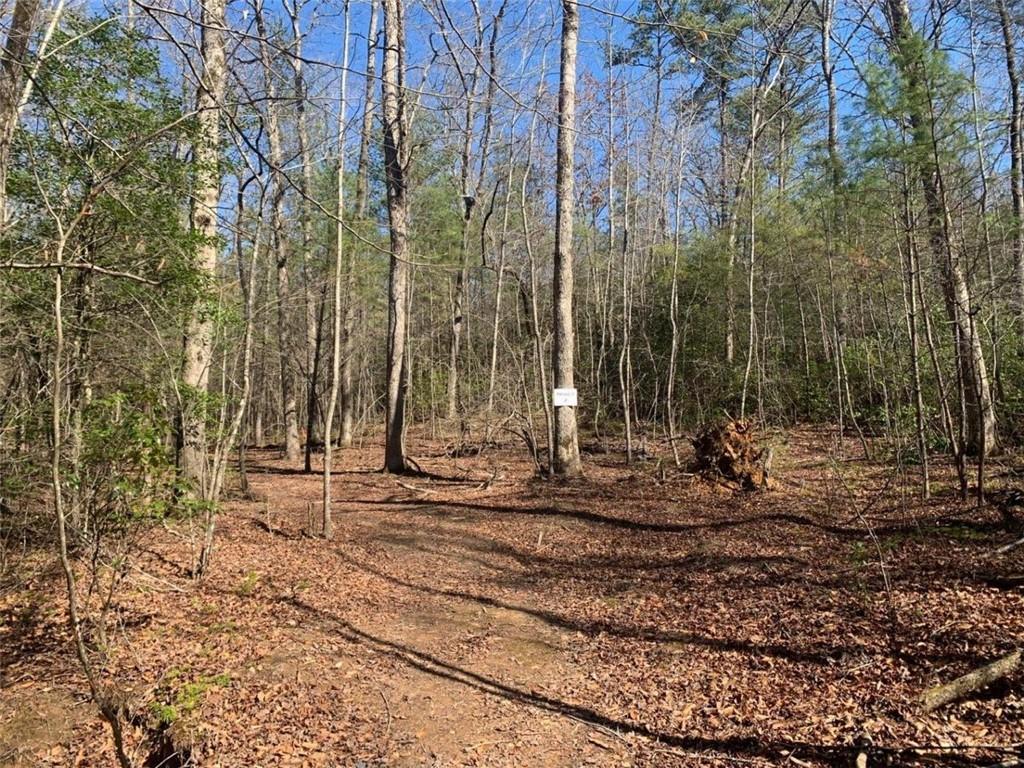 TRACT2 E East New Hope Rd., Ellijay, GA 30536
