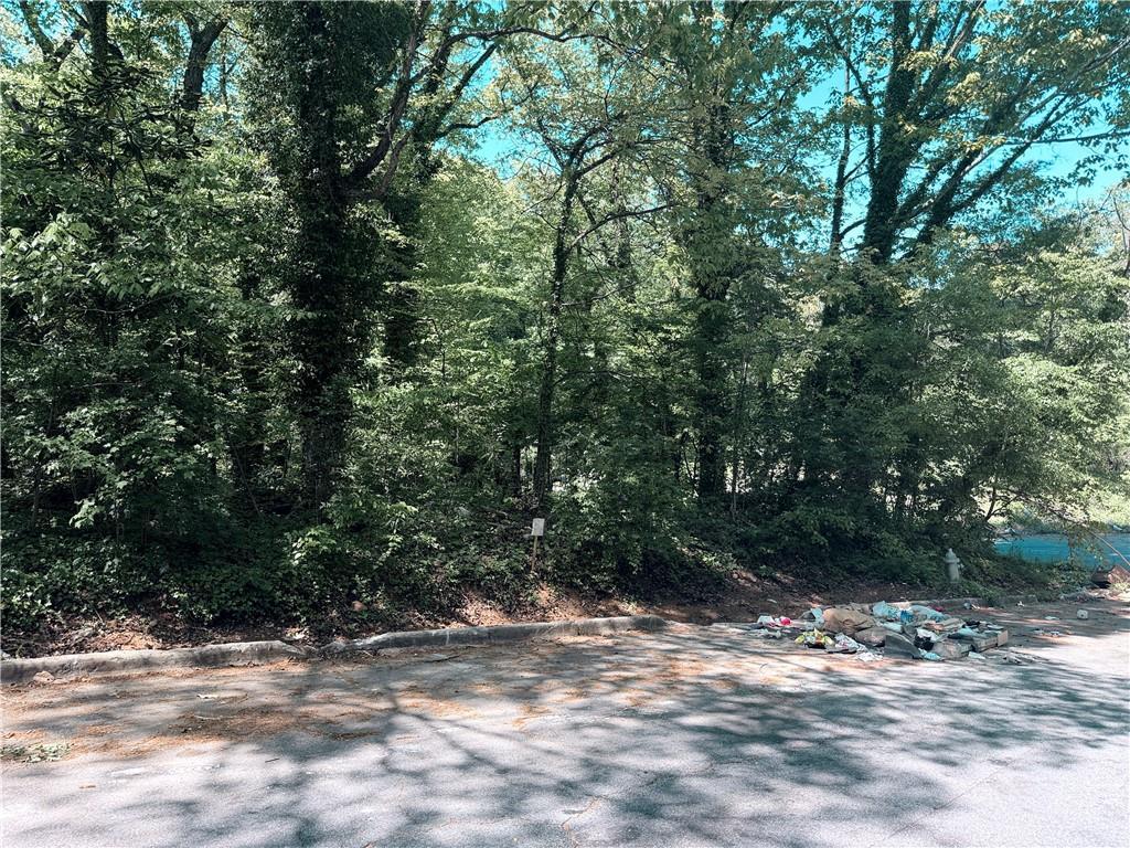 Willow Tr., Atlanta, GA 30311