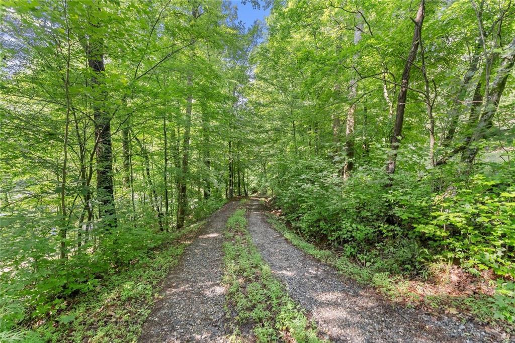 Long Branch Rd., Dahlonega, GA 30533