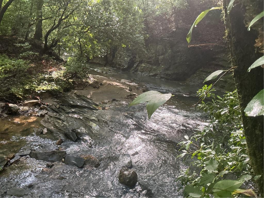 Mountain Brook Rd., Dawsonville, GA 30534
