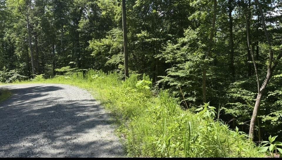 Lt 780 Omen Circle, Ellijay, GA 30540