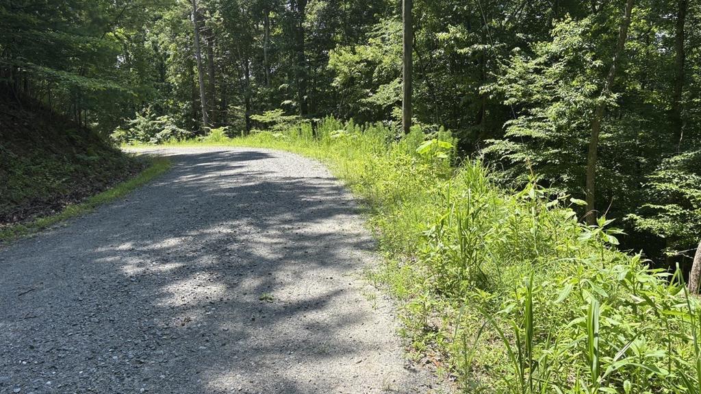 LT 781 Omen Circle, Ellijay, GA 30540