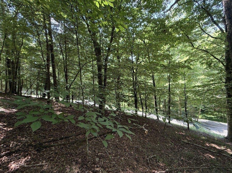 LT3469 Fir Ln., Ellijay, GA 30540