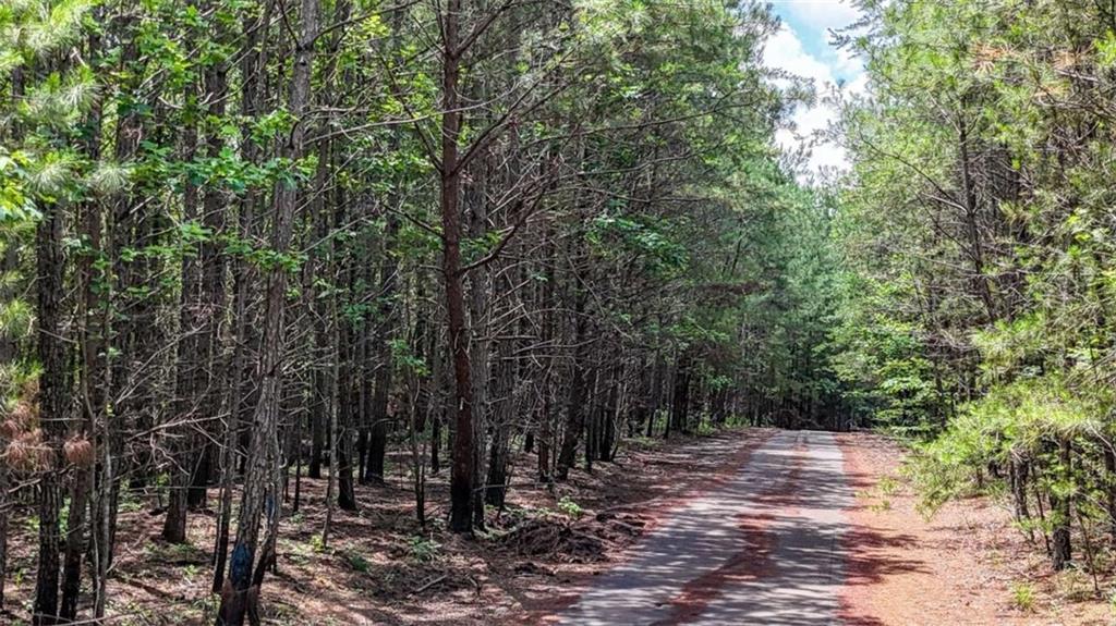47 Lot, Rockmart, GA 30153
