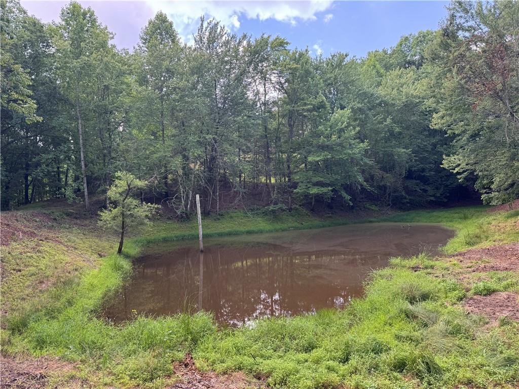 3.5 AC Ben Higgins Rd., Dahlonega, GA 30533