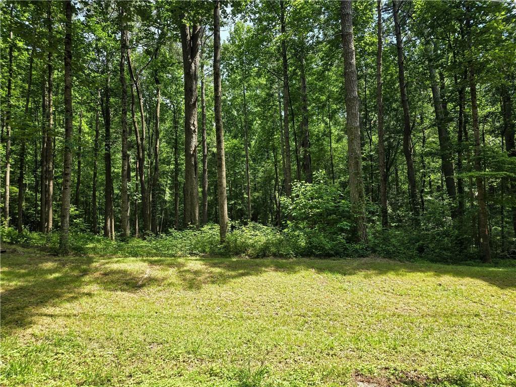 5 Lots Rome St. & Driver St., Temple, GA 30179