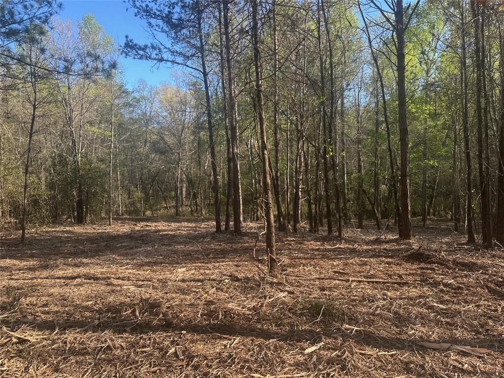 00 Lee Mashburn Rd., Dahlonega, GA 30533