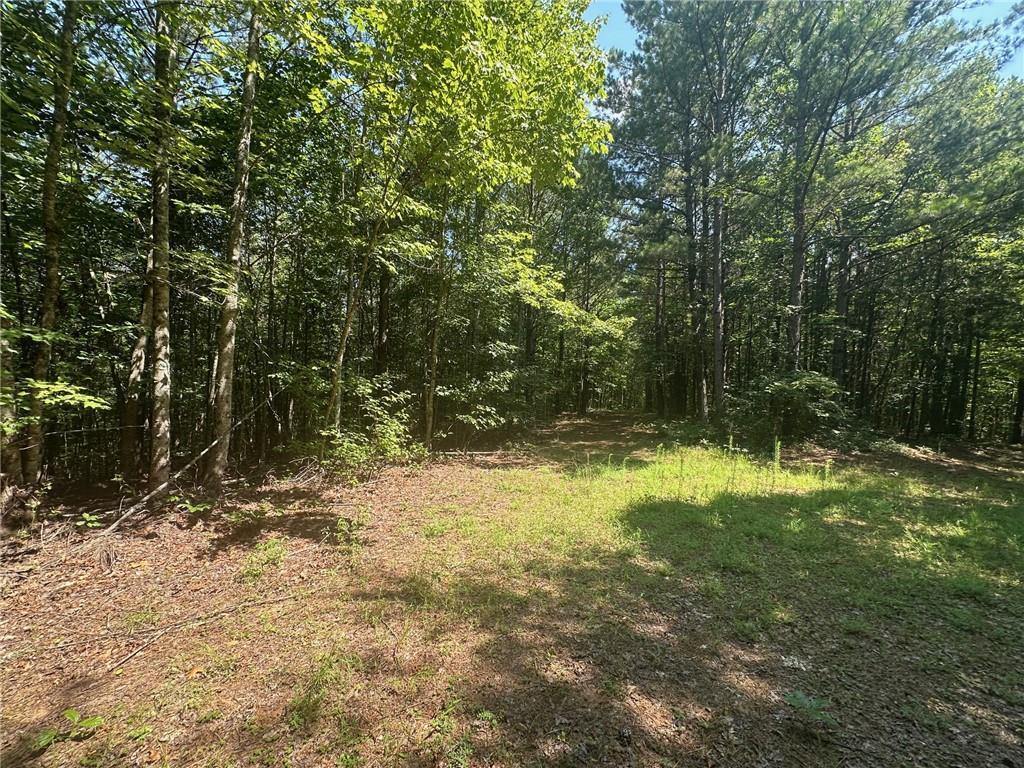 40 Patriot View Dr., Dahlonega, GA 30533