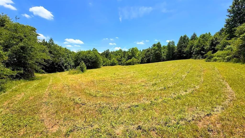 Nix Rd., Bremen, GA 30110