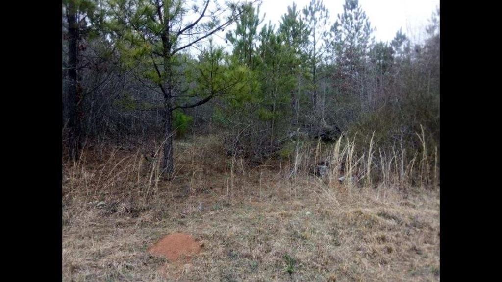 002 Old Woodbury Rd., Woodbury, GA 30293